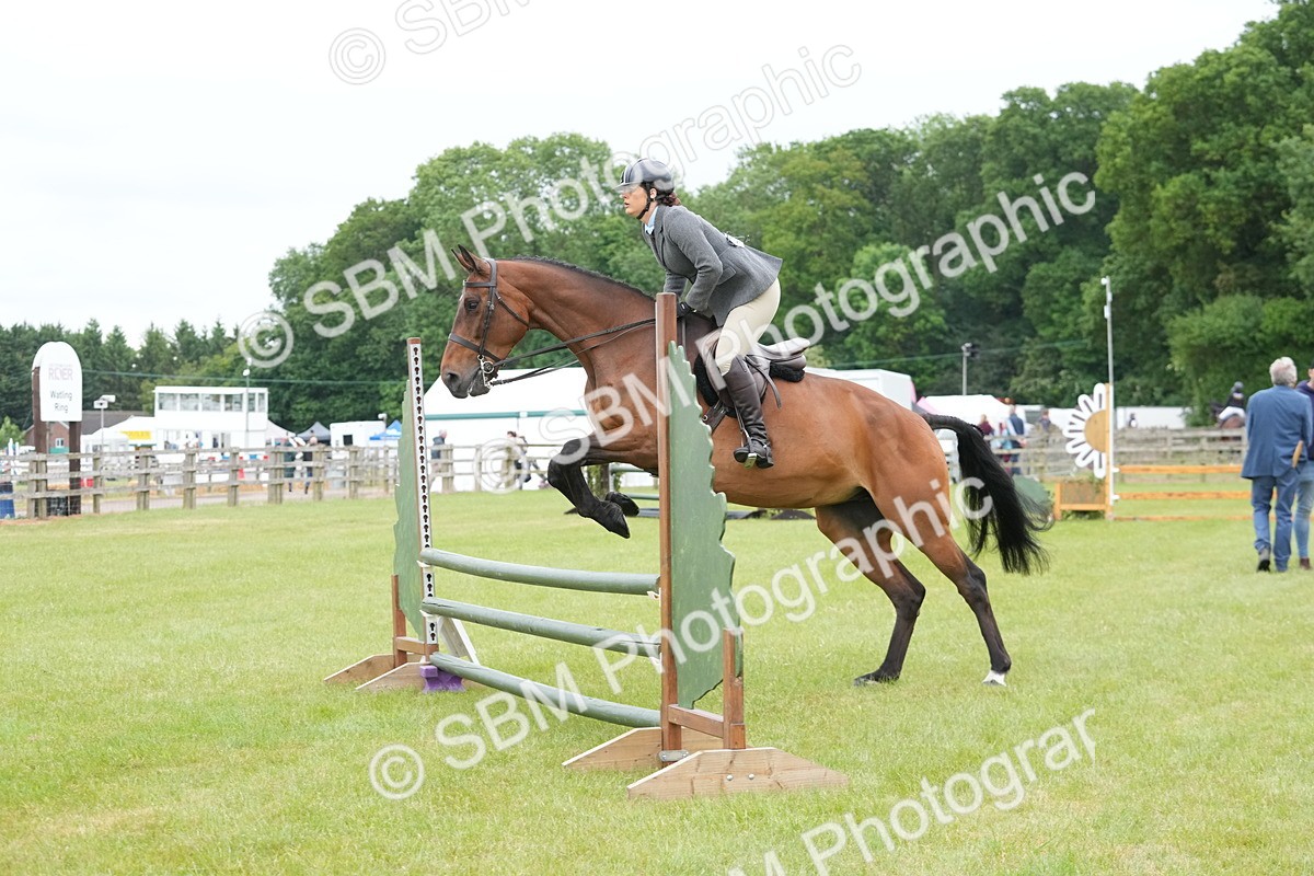 SBM_12619 - Class 97-98 - LIHS BSHA Rising Star Working Show Horse Hunter