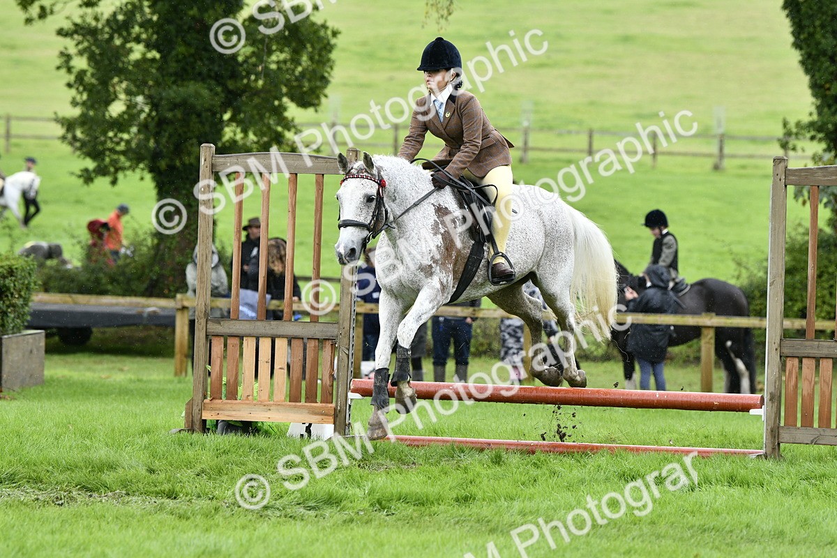 SBM_41447 - S32 - Mountain & Moorland Working Hunter Pony