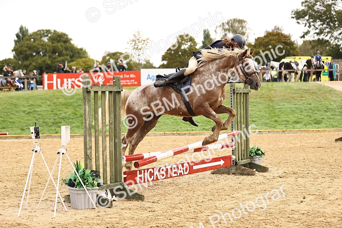 SBM_58407 - J41 - Grand Tour Horse & Pony 95cm