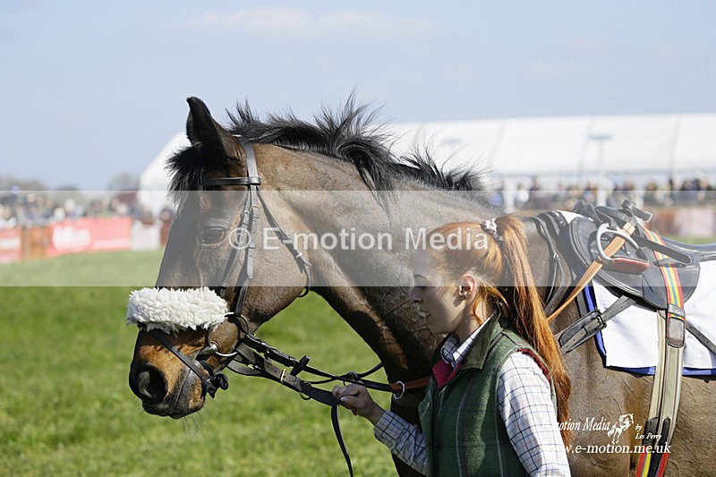 PtP 200322 160 - Mendip Farmers Point-to-Point 20/03/22