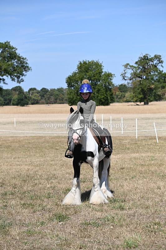 WJ6_9050 - Class 38 Ridden Riding Horse/Pony