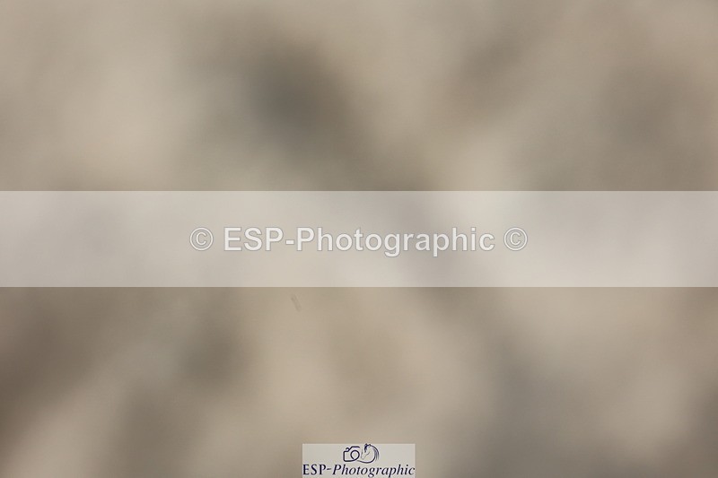 250718A-163014-02858 - Fri Presentations