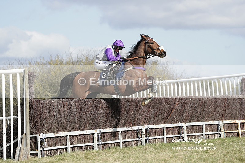PtP 260223 461 - South & West Wilts Point-to-Point Larkhill 26/02/23