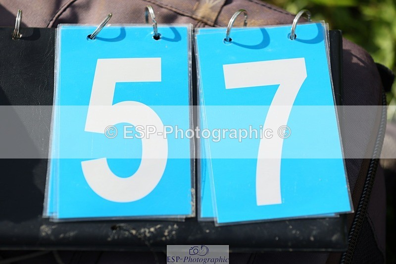 231020-115737-06854 - 057-OVERTON.TILANA'S.GOLD-Claire.Deuten-XC