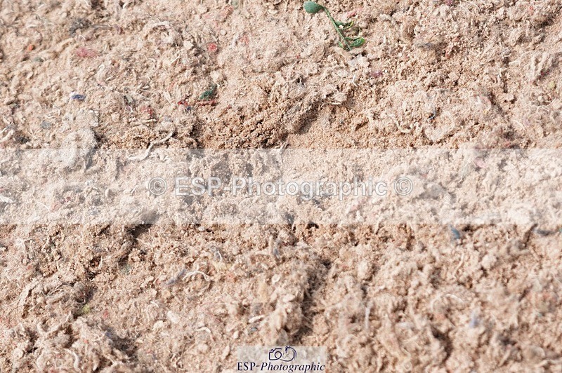 250608-115638-02534 - Cls 6 Pony Discovery 2nd Round