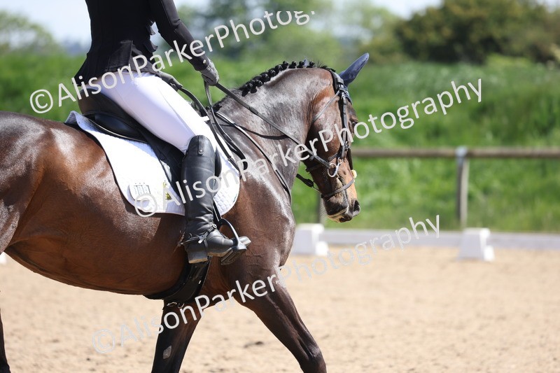 20250520-0920 - Class 7 - Elementary 2