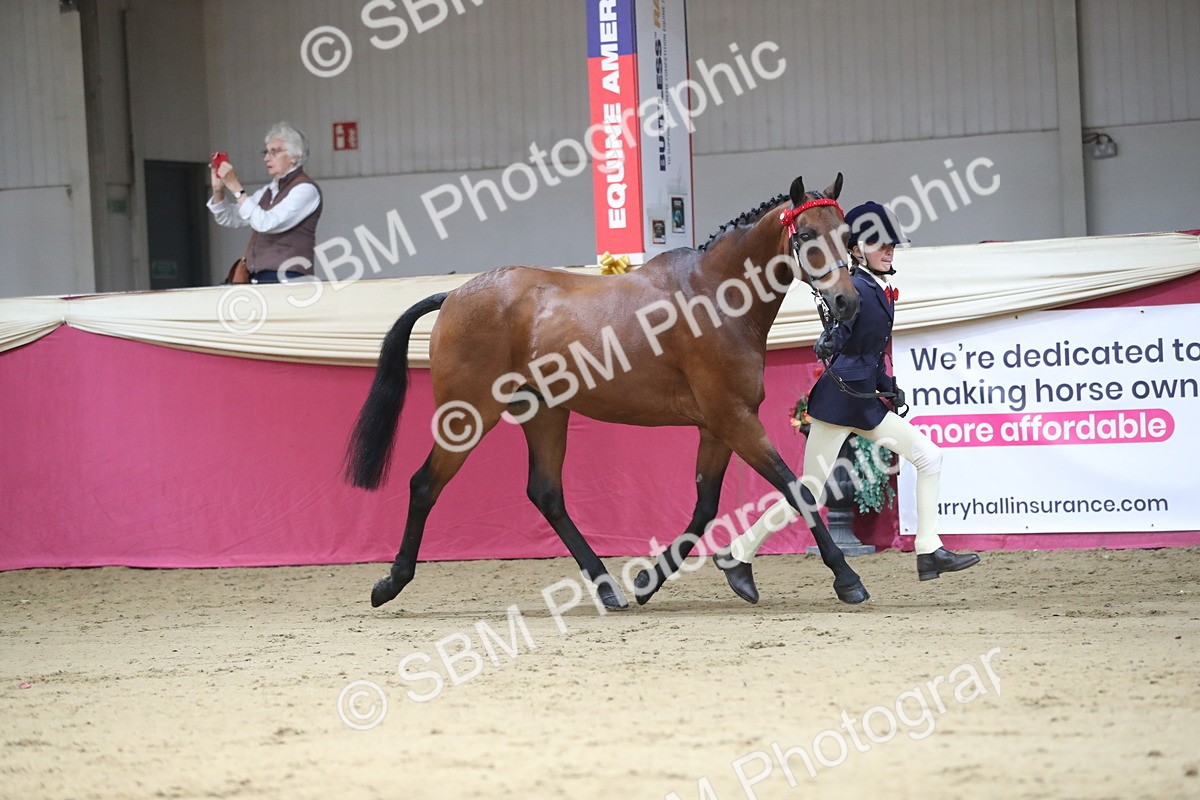 SBM_01291 - Class 3a Area IH Pre Vet