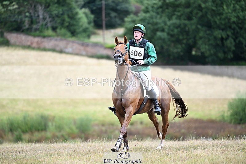 250803A-133354-13696 - N-606-Harry.Rowcliffe-22.CARROT.GOLD