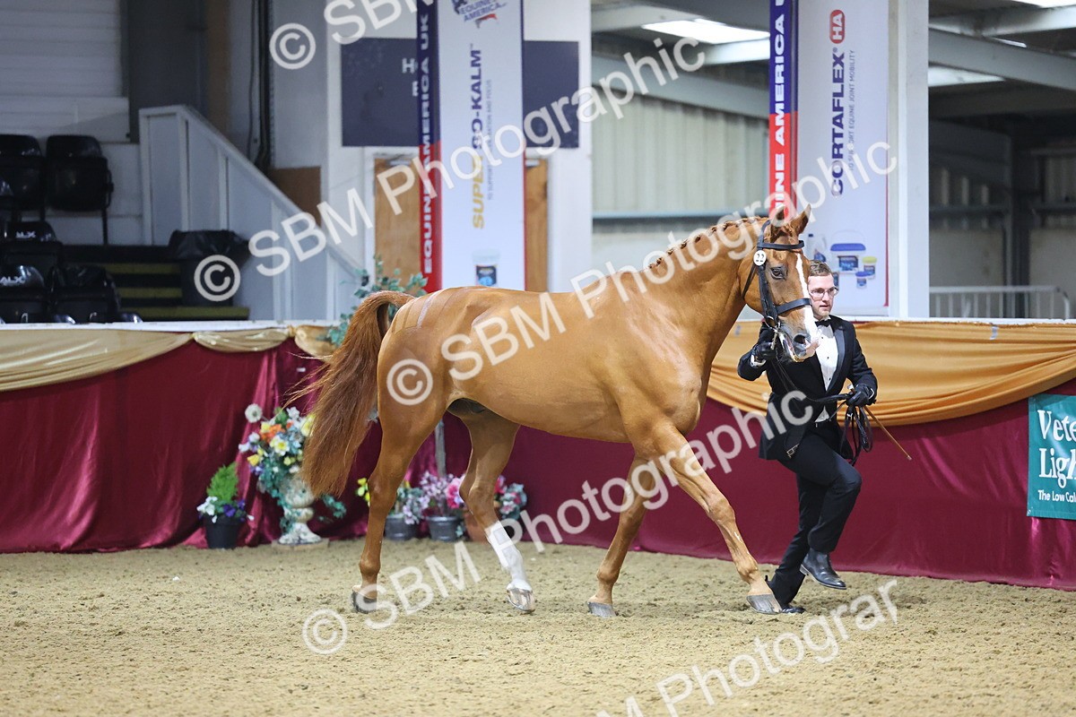 SBM_20832 - Class 902 - Supreme Final IH Veteran