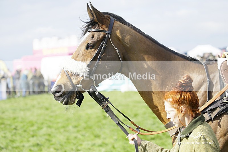 PtP 060322 202 - Blackmore & Sparkford Vale Hunt PtP 06/03/22