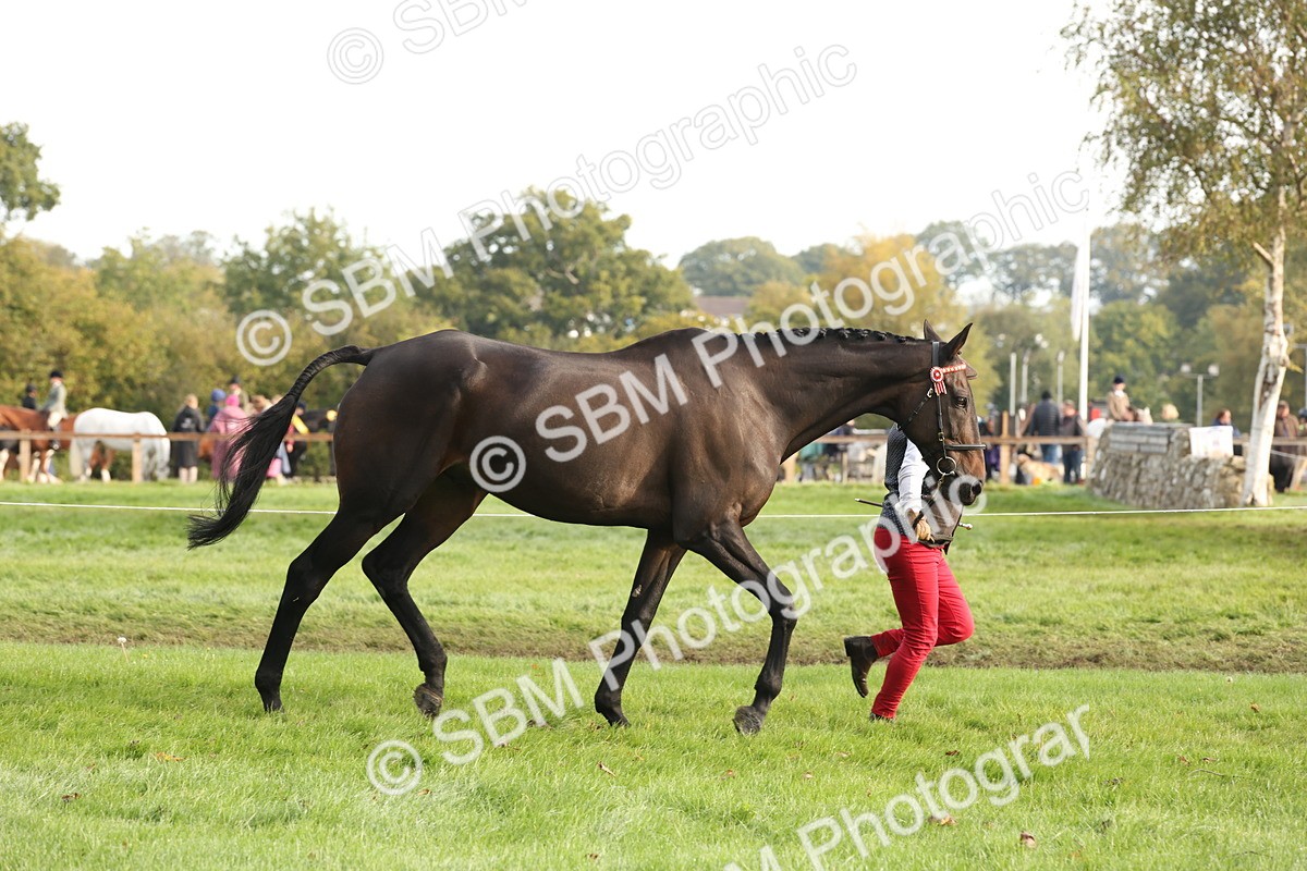 SBM_54668 - S53 - Hunter In Hand