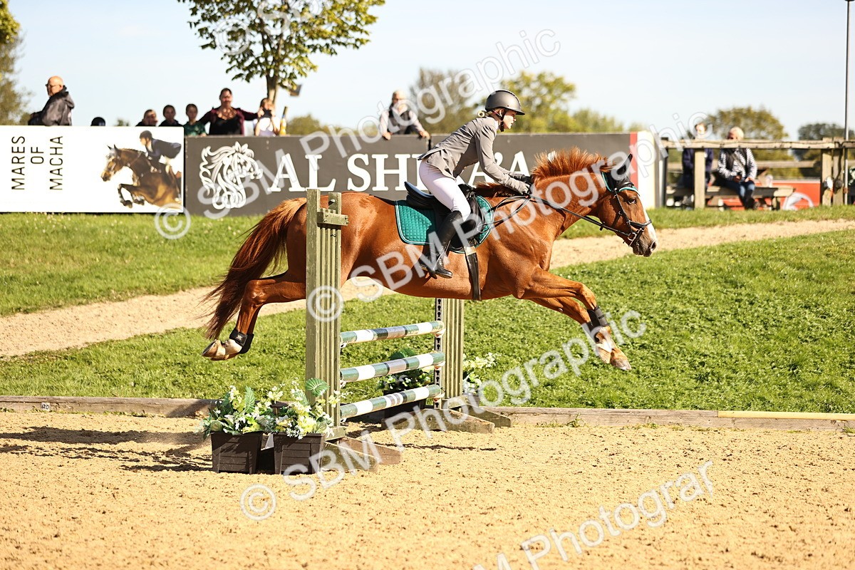 SBM_38105 - J39 - Senior 85cm Championship