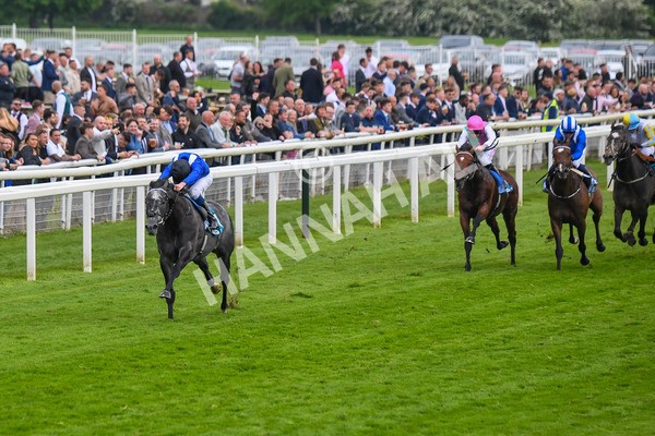 190523-Race 5-Mostabshir-0638 - Race 5 4.10pm Darley Novice Stakes