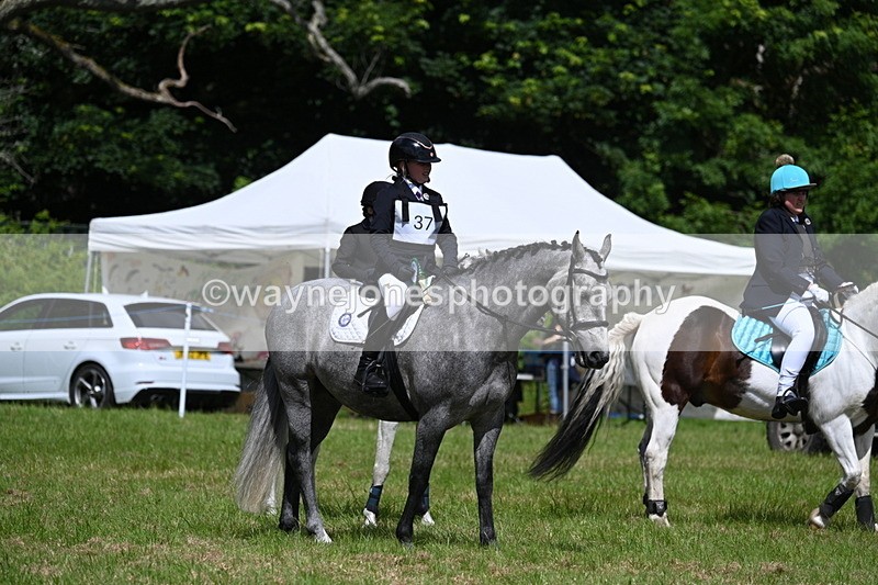 WJ7_1868 - Class 9 Pony Club Pony