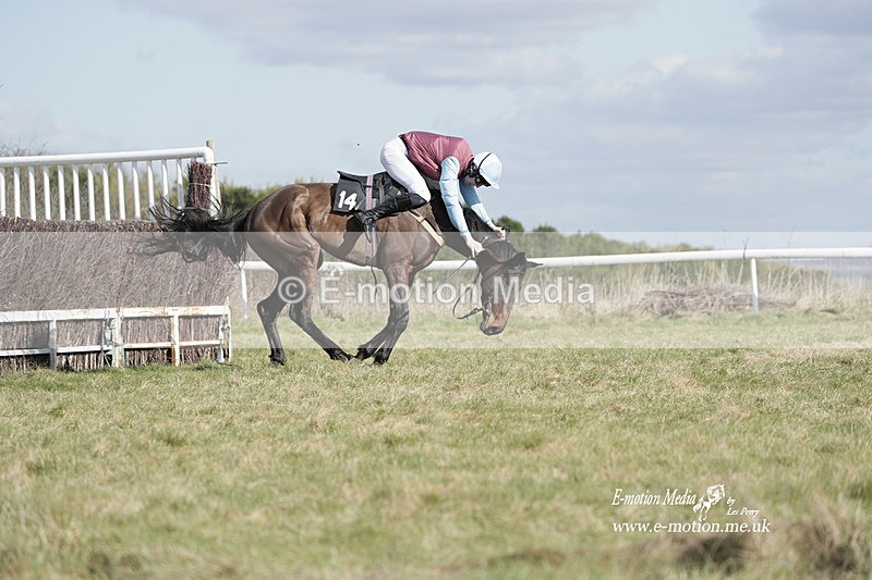PtP 260223 474 - South & West Wilts Point-to-Point Larkhill 26/02/23