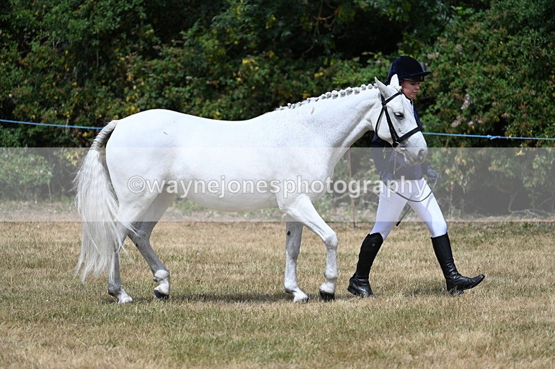 WJ7_1624 - Class 4 Prettiest Mare up to 14.2hh in hand