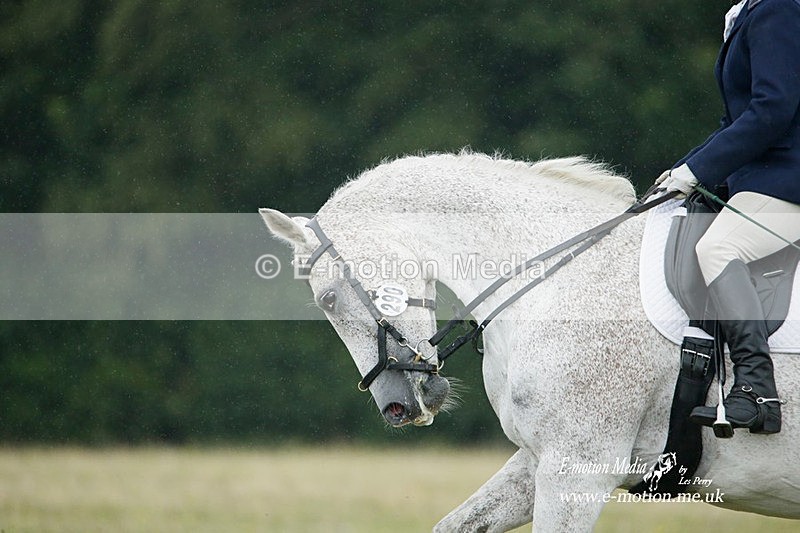 BVRC 030721 644 - Bourne Valley Riding Club Dressage 03/07/21