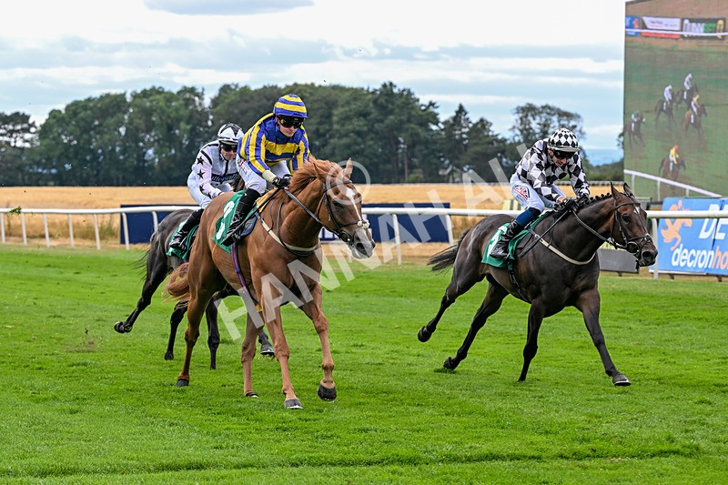 070826-Race 4-Azuinthejungle-1841 - Race 4 15.40pm Ladies' Day Saturday 5th September - Book Now Handicap