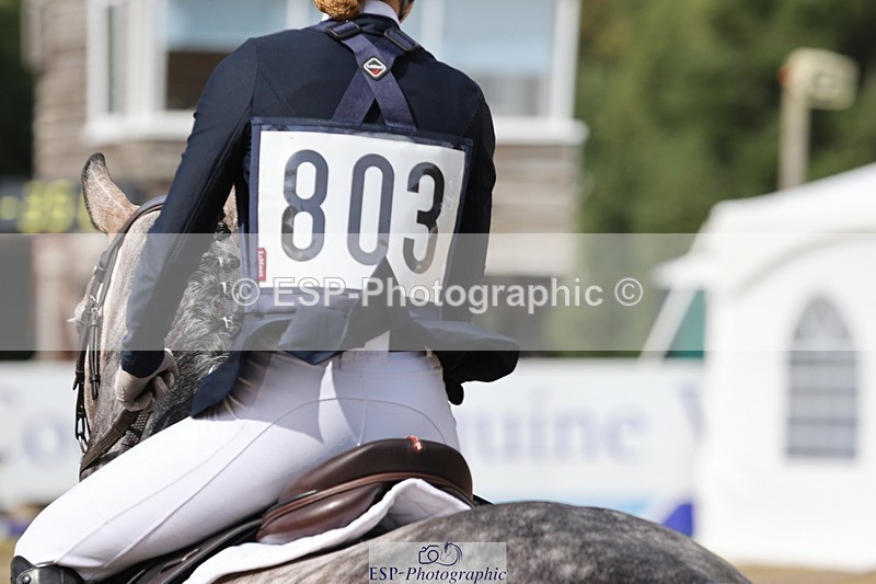 250803A-160320-17294 - R-803-Harriet.Tilling-DAROG'S.DANCER