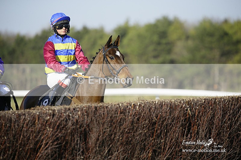 PtP 270222 298 - South & West Wilts Point-to-Point Larkhill 27/02/22