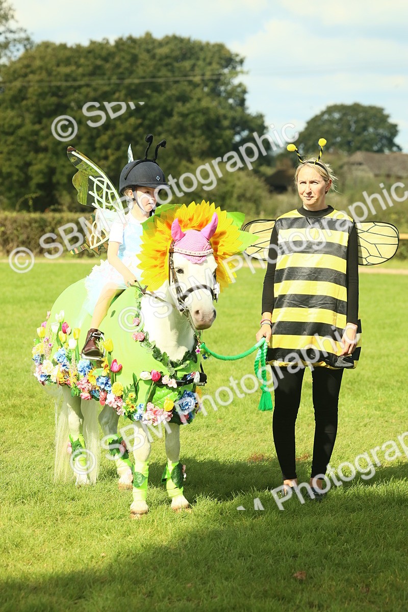 SBM_63527 - S35 - Fancy Dress Showing