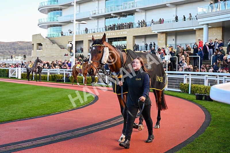 141224-Race 1-Lavender Hill Mob-0253 - Race 1