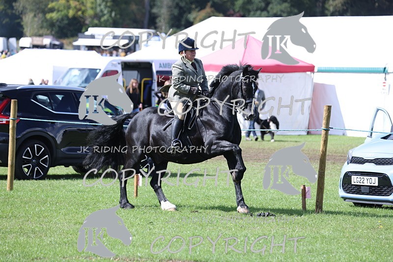 APP_3528 - Class 12 M&M ridden