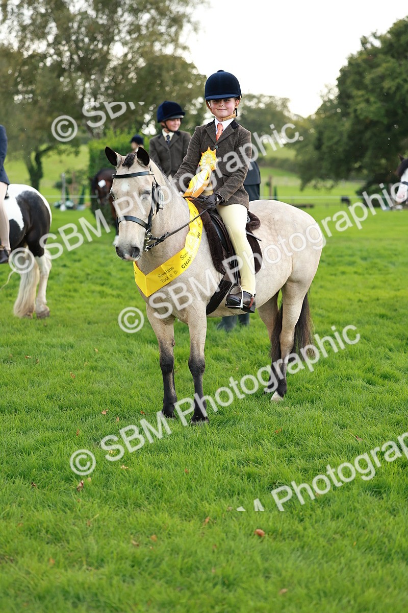 SBM_28880 - S7 - Novice & Newcomer Ridden Pony