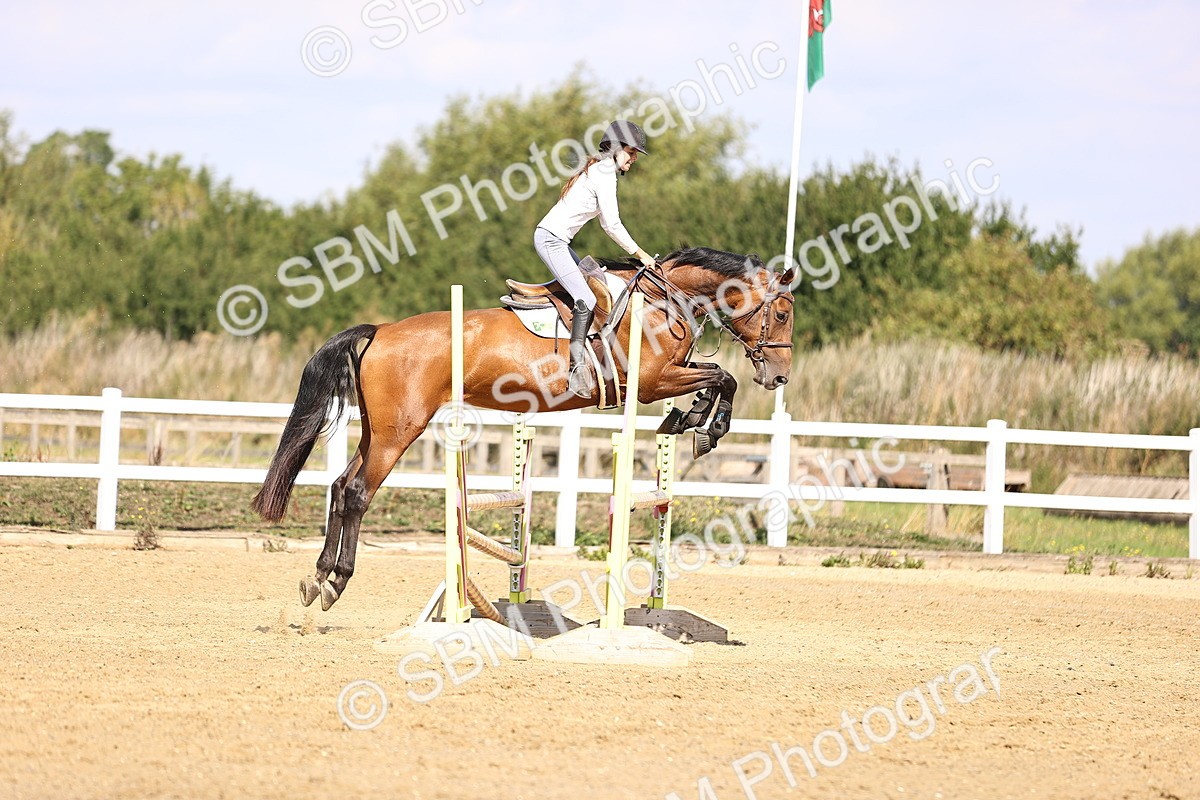SBM_005889 - Class 9 - Senior British Novice - 90cm