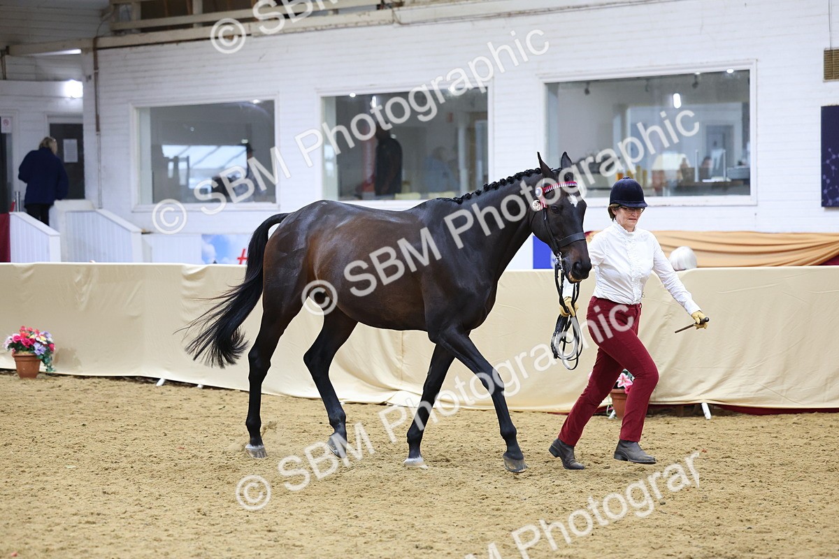 SBM_20875 - Class 902 - Supreme Final IH Veteran