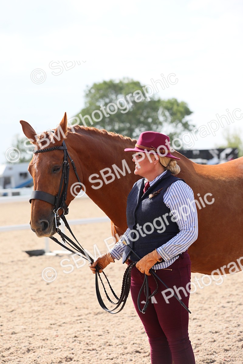 SBM_15773 - Class 312 IH Competition Horse/Pony