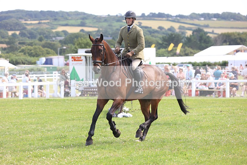 JPP_3764 - Class 23: Working Hunter 80cm