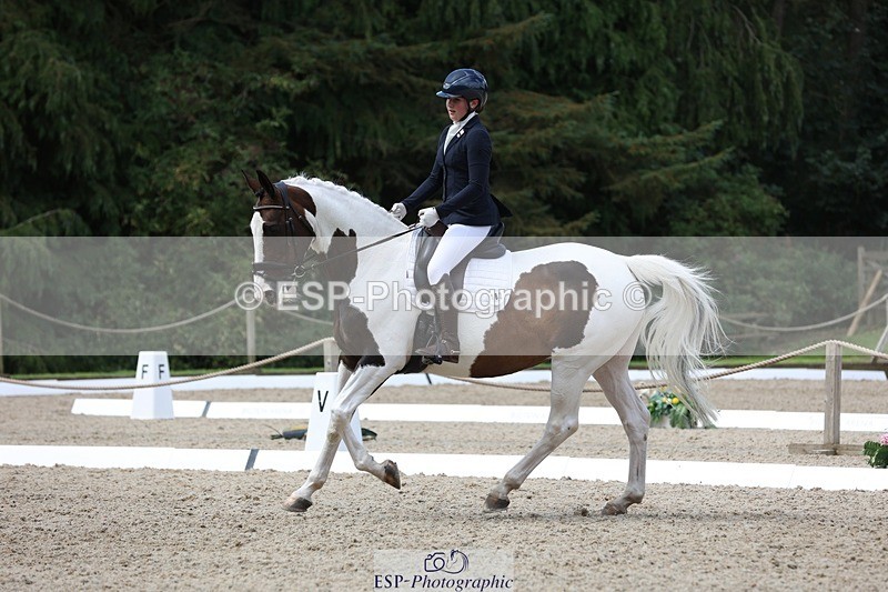 230812-112513-03766 - Cls 5 Novice Bronze 11.15 to 12.50 break