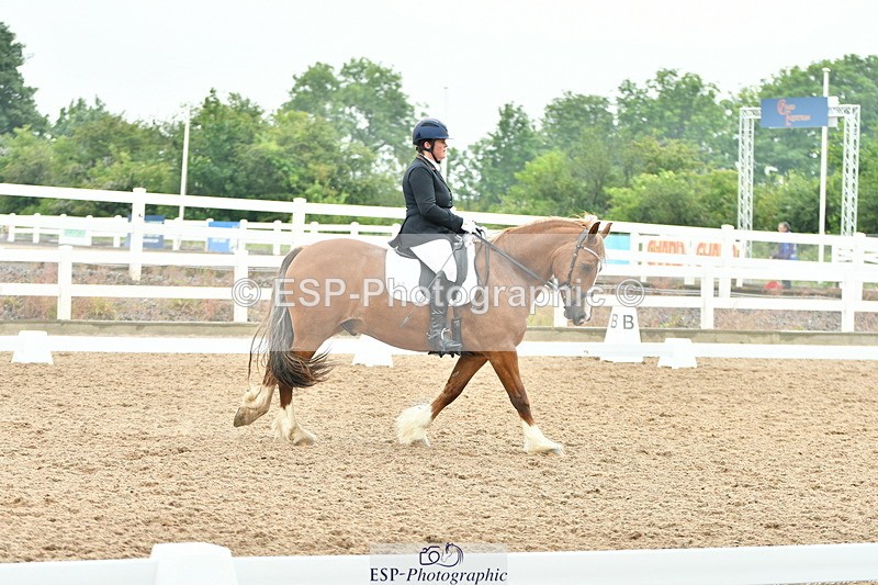 230708A-135409-02868 - Elementary 43