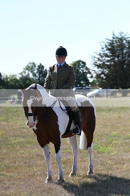 WJ7_3197 - Class 8 Ridden Tack & Turnout