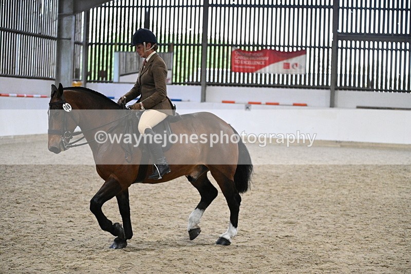 WJ7_3978 - Class 17 Ridden Cob