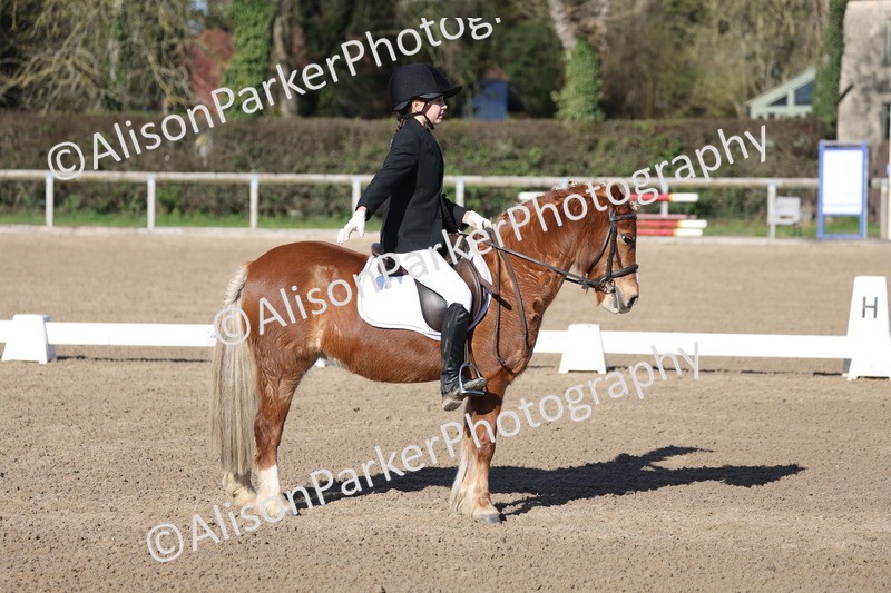 20260214-0374 - Class 4 - Novice 2