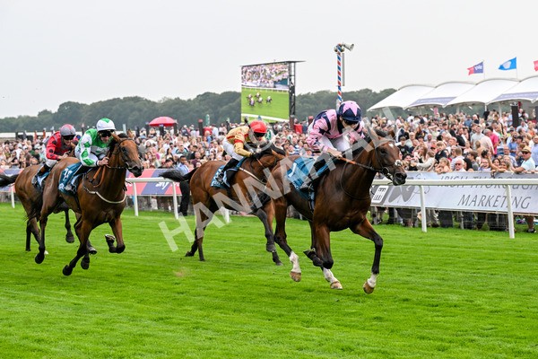 250725-Race 3-Amakhala Warrior-0523 - Race 3 6.38pm Ire-Incentive, It Pays To Buy Irish EBF Restricted Novice Stakes