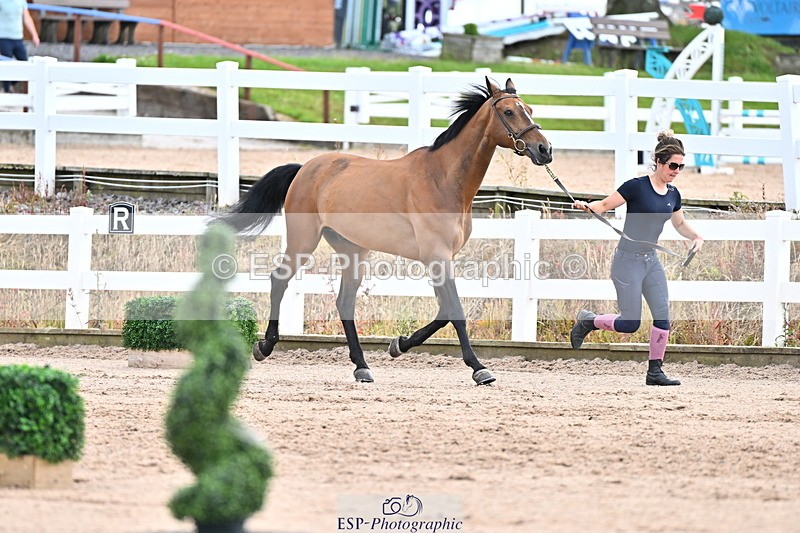 240718A-105325-01982 - Trot Up 2pm to 3pm - This folder is not in time order