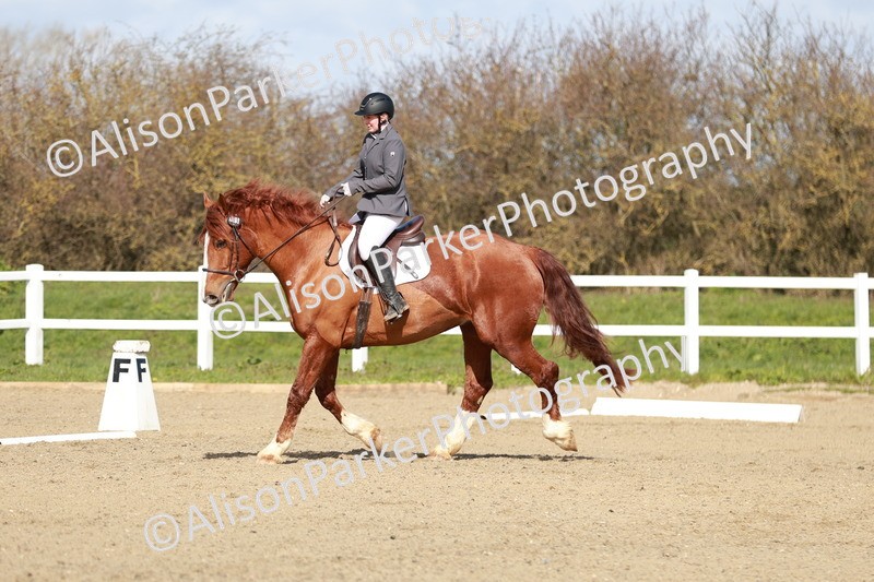 20260314-2833 - DR3 - Prelim 1