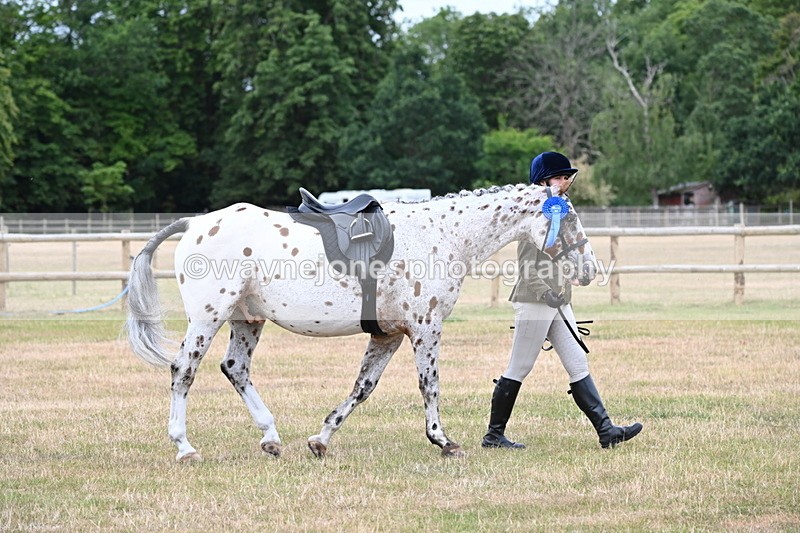 WJ6_4079 - Class 9 Tack & Turnout