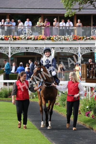 yr19082021r6-25 - Race 6 4.45pm British EBF & Sir Henry Cecil Galtres Stakes