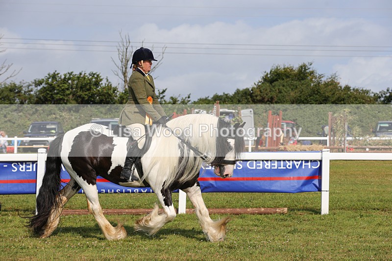 1X9A3430 - Class 28: Ridden Native/Trad Coloured Pony