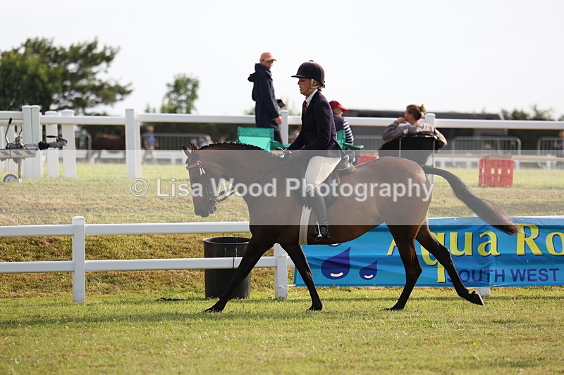 3E7A7749 - Class 1: Rising Star Small Hack/Riding Horses