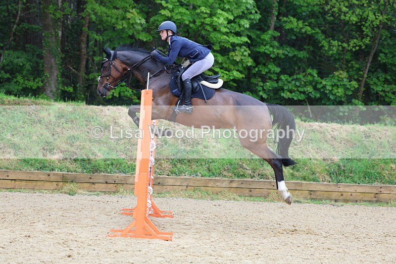 3E7A7416 - Class 8: Senior Foxhunter/1.20 open
