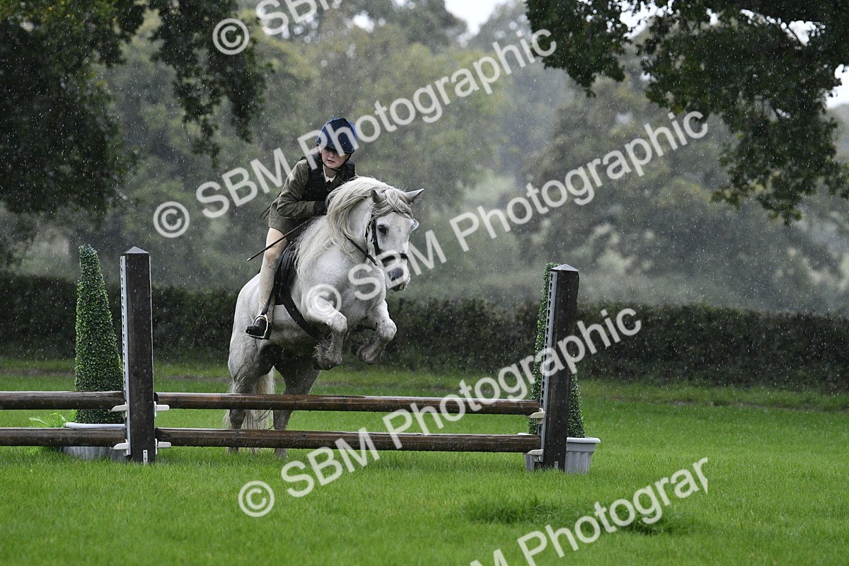 SBM_37114 - S31 - Novice & Newcomer Working Hunter Pony