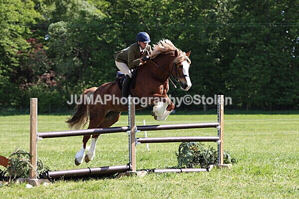 IMG_4746 - Working Hunter