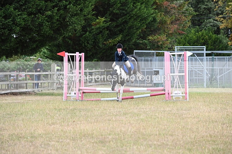 WJ6_9936 - Class 13 Novice Jumping 60cm