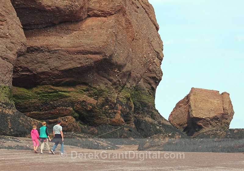 The Rocks @ Hopewell Cape - 8 - The Rocks @ Hopewell Cape