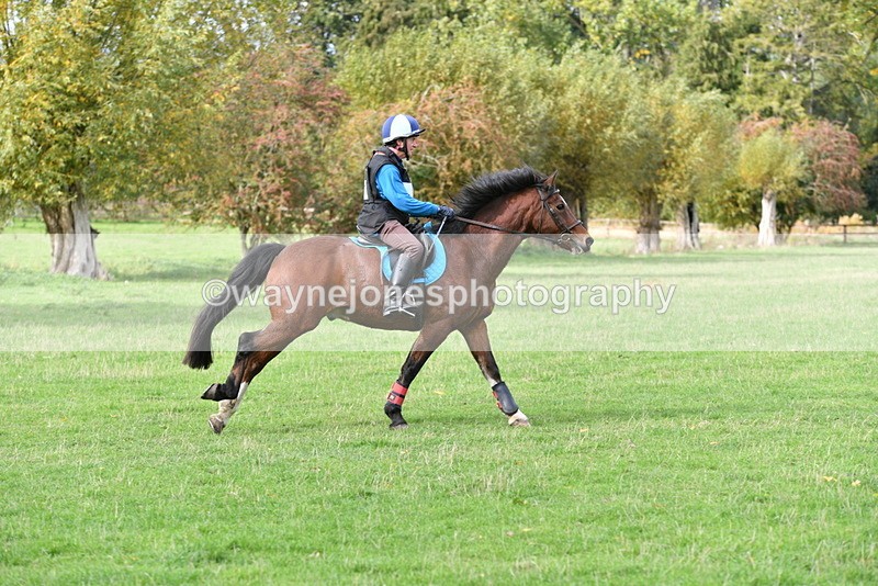 WJ5_0366 - Time 13:59 to 14:28